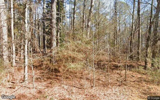 0.18 Acres in Stephens - Oglethorpe County, GA - Image 4