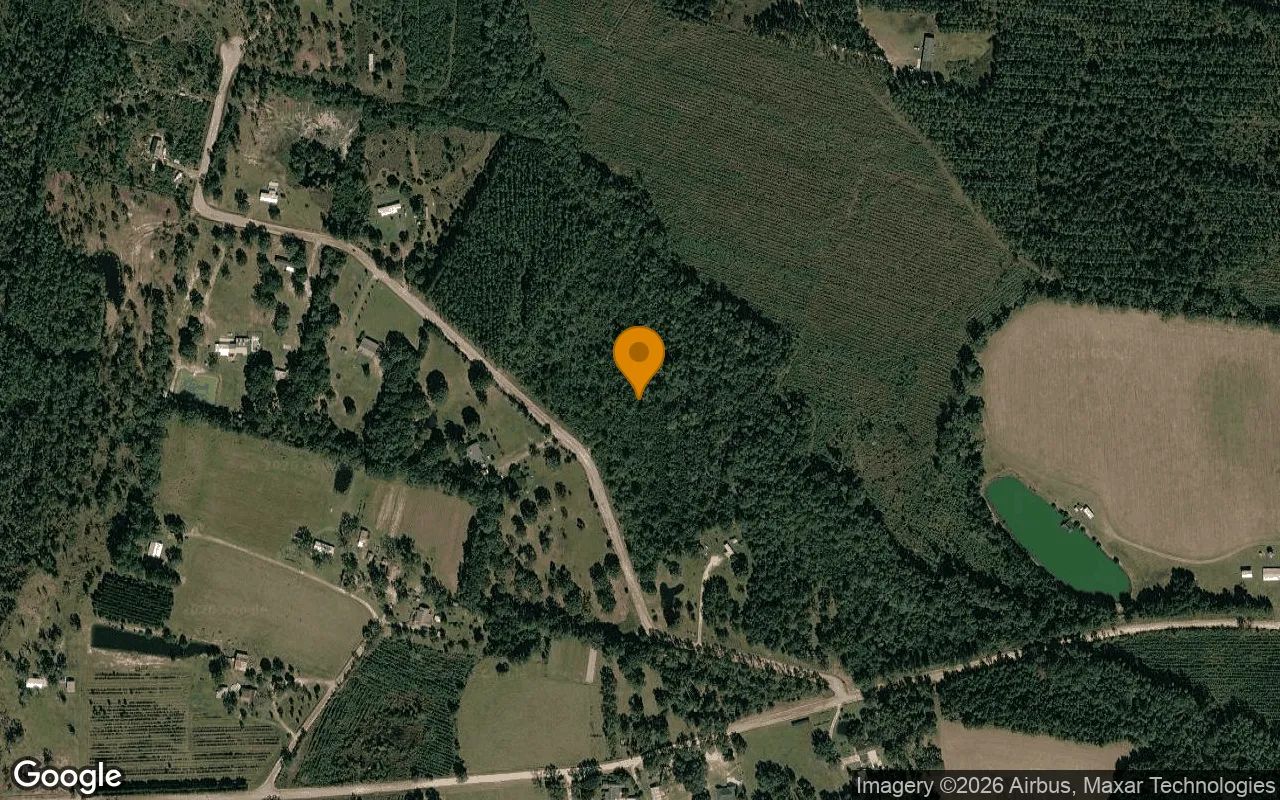 15.02 Acres in Nahunta - Brantley County, GA in Brantley County, GA
