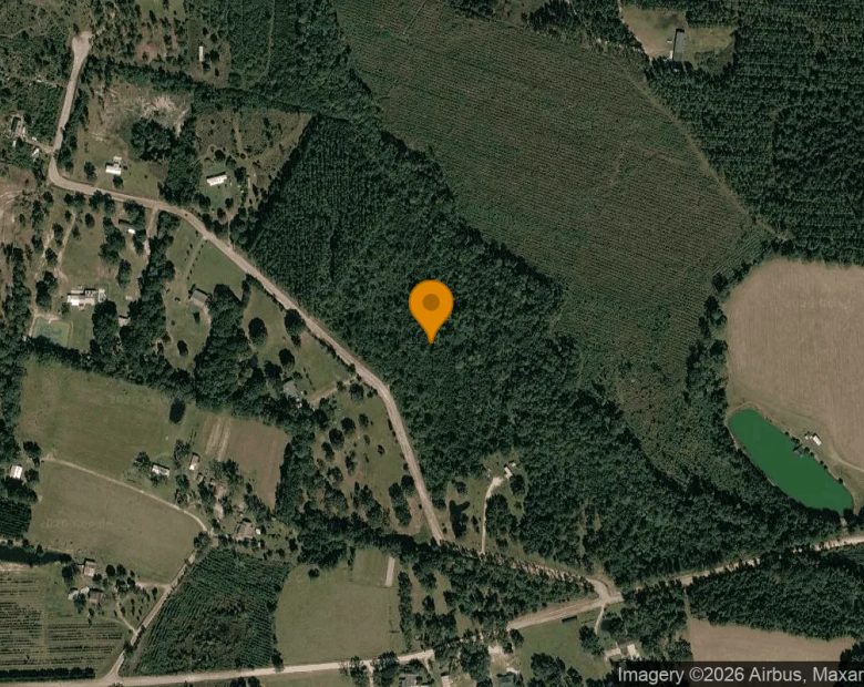 15.02 Acres in Nahunta - Brantley County, GA in Brantley County, GA