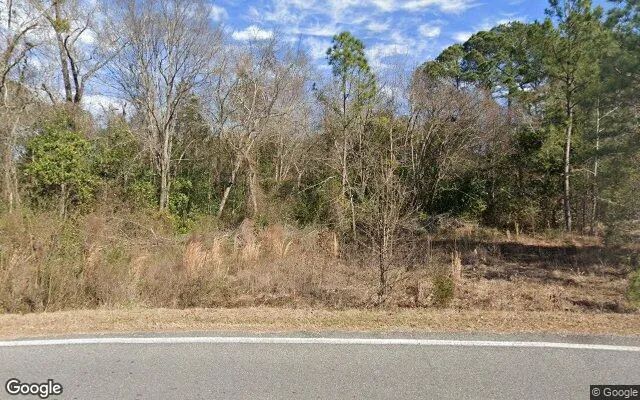 7.55 Acres in Cochran - Bleckley County, GA - Image 4
