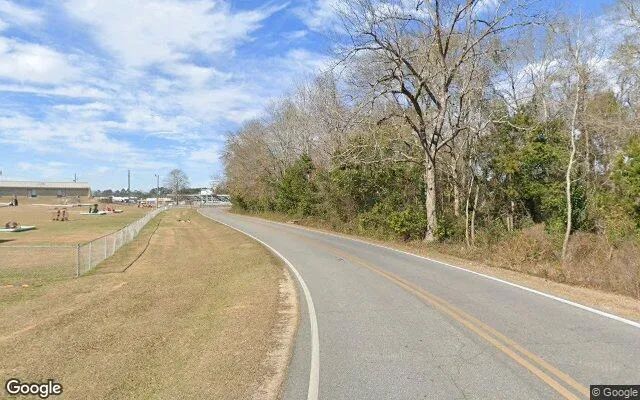 Decorative background for 7.55 Acres in Cochran - Bleckley County, GA image 5