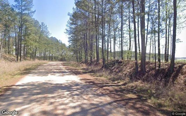 Decorative background for 1.46 Acres in Juliette - Monroe County, GA image 6