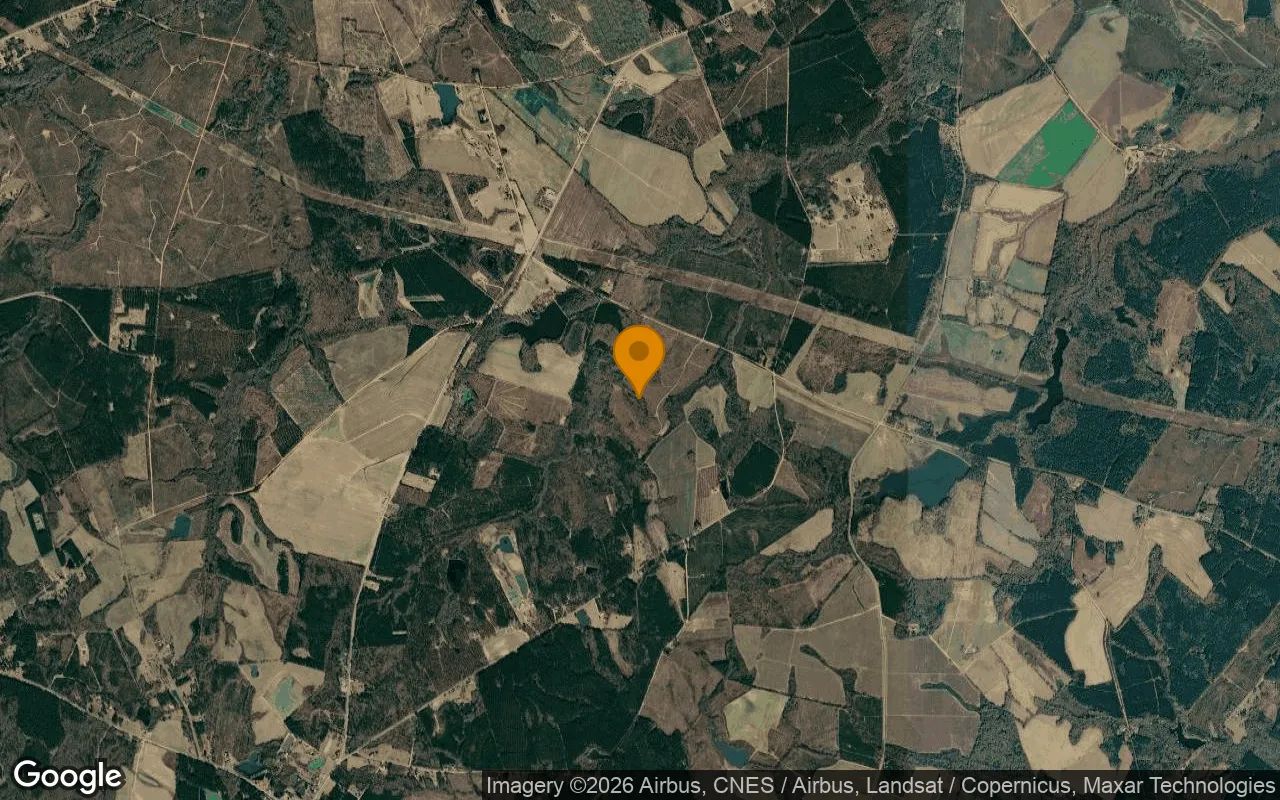125.06 Acres in Davisboro - Washington County, GA in Washington County, GA