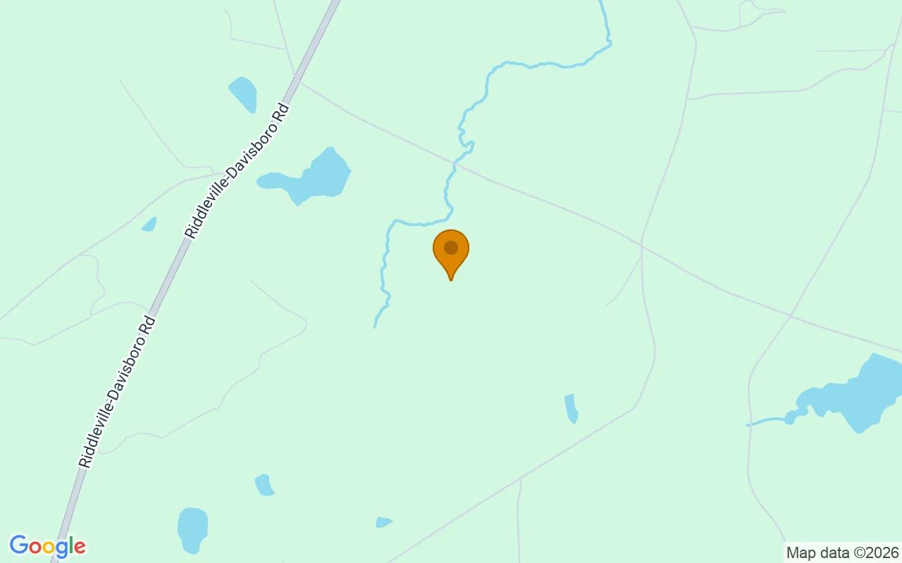 125.06 Acres in Davisboro - Washington County, GA in Washington County, GA