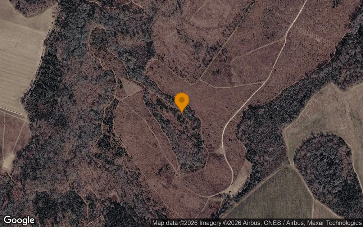 Decorative background for 125.06 Acres in Davisboro - Washington County, GA image 6