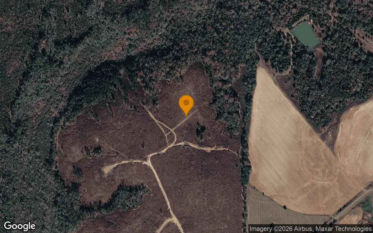 124.01 Acres in Preston - Webster County, GA - Main image