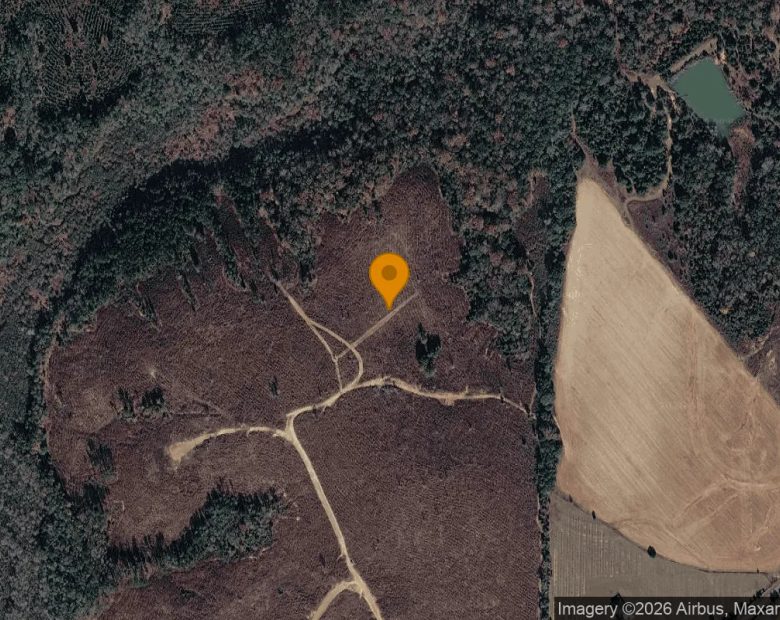 124.01 Acres in Preston - Webster County, GA in Webster County, GA