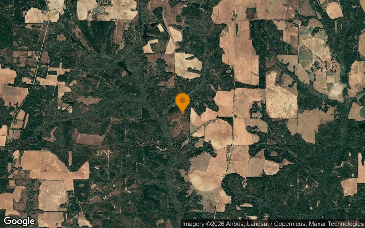 124.01 Acres in Preston - Webster County, GA in Webster County, GA