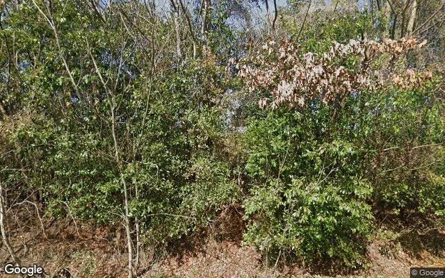124.01 Acres in Preston - Webster County, GA in Webster County, GA