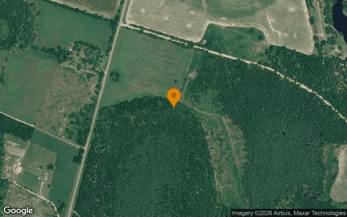 124.74 Acres in Waynesboro - Burke County, GA - Main image
