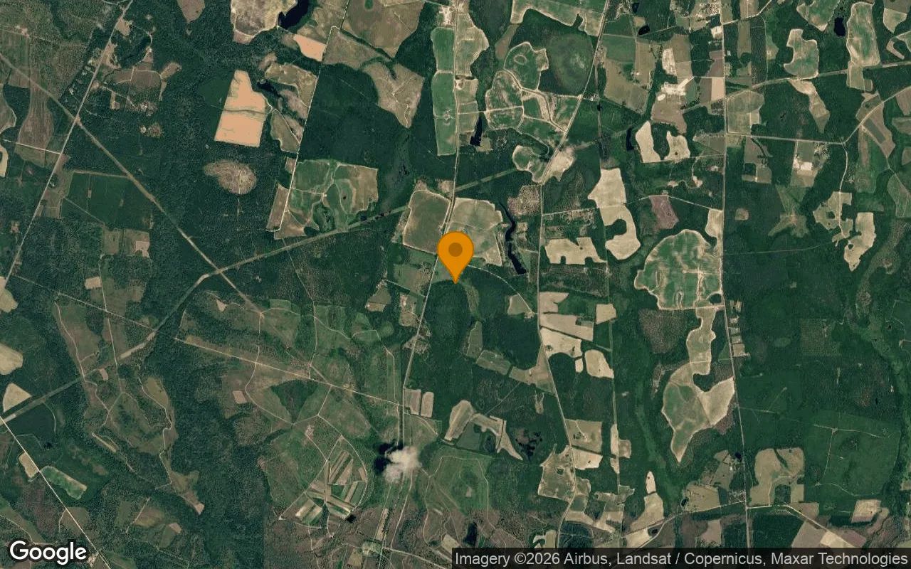 124.74 Acres in Waynesboro - Burke County, GA in Burke County, GA