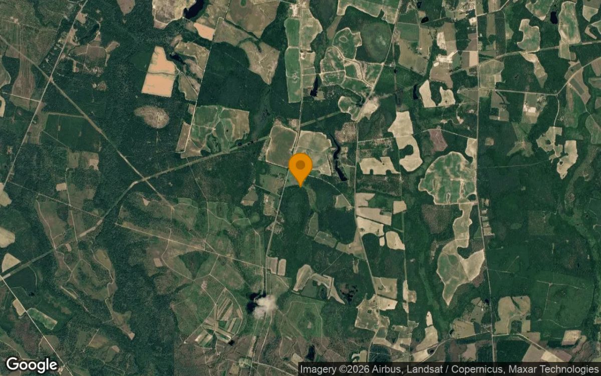 124.74 Acres in Waynesboro - Burke County, GA - Image 3