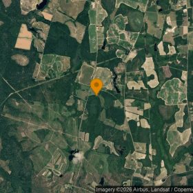 124.74 Acres in Waynesboro - Burke County, GA in Burke County, GA