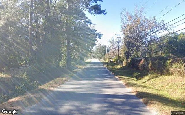 Decorative background for 0.55 Acres in Savannah - Chatham County, GA image 6