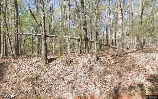 0.46 Acres in Haddock - Jones County, GA - Image 4