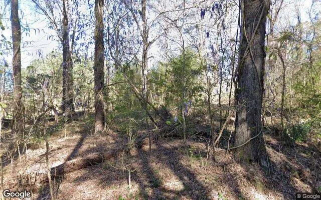 0.37 Acres in Luthersville - Meriwether County, GA in Meriwether County, GA