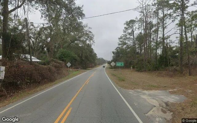 Decorative background for 3.4 Acres in Statenville - Echols County, GA image 5