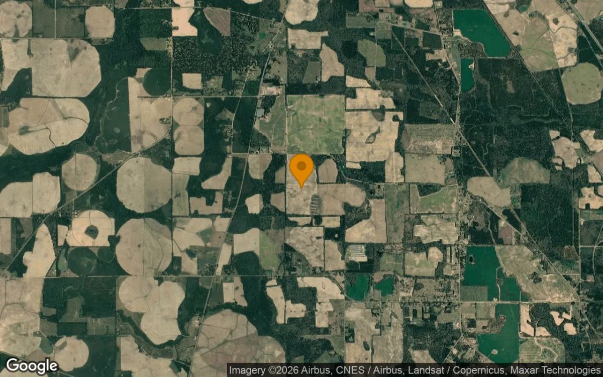 124.64 Acres in Mitchell - Mitchell County, GA - Image 3