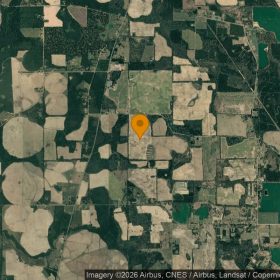 124.64 Acres in Mitchell - Mitchell County, GA in Mitchell County, GA