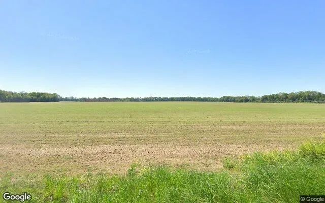 124.64 Acres in Mitchell - Mitchell County, GA - Image 4