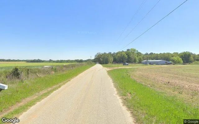 Decorative background for 124.64 Acres in Mitchell - Mitchell County, GA image 5