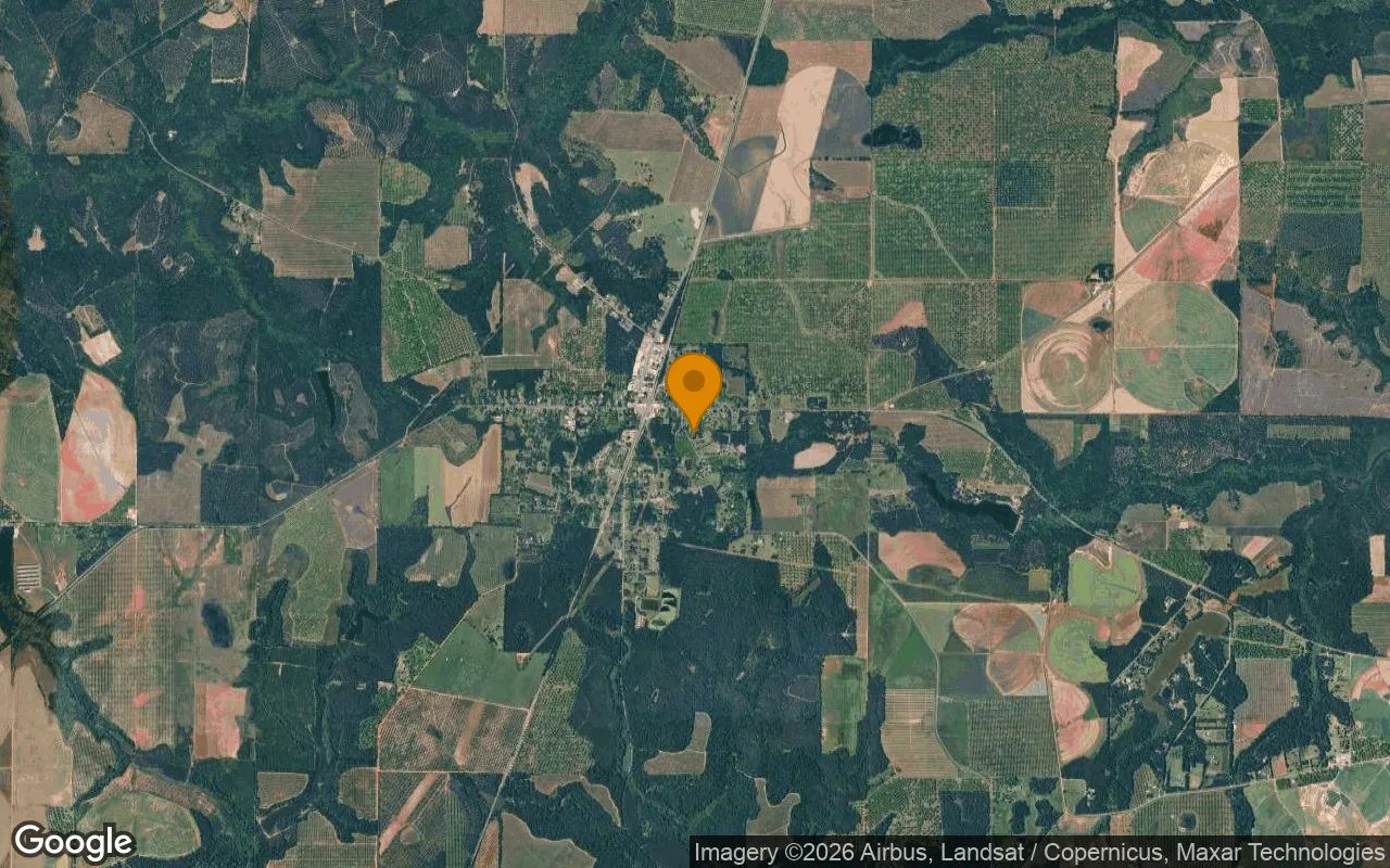 1.11 Acres in Marshallville - Macon County, GA in Macon County, GA