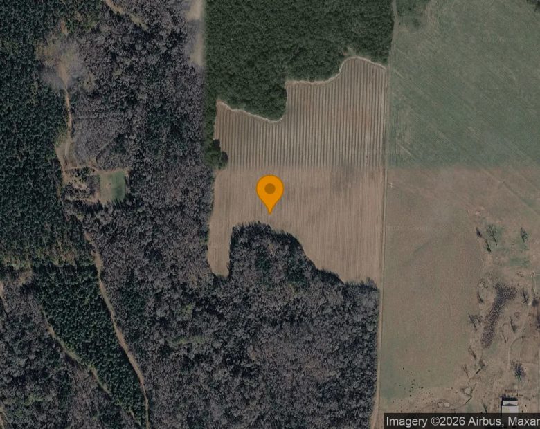 125 Acres in Byromville - Dooly County, GA in Dooly County, GA