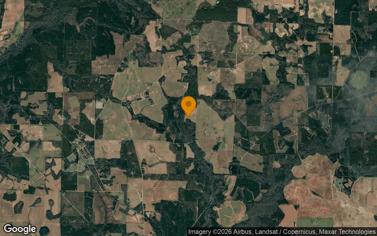 125 Acres in Byromville - Dooly County, GA in Dooly County, GA