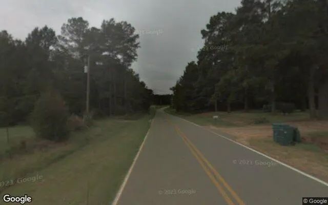 Decorative background for 125 Acres in Byromville - Dooly County, GA image 5
