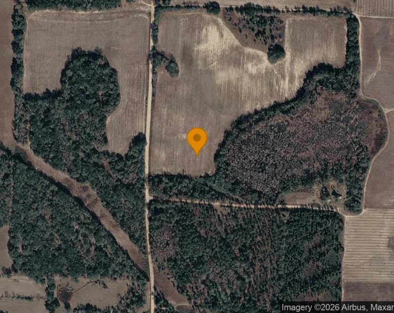 14.95 Acres in Blakely - Early County, GA in Early County, GA