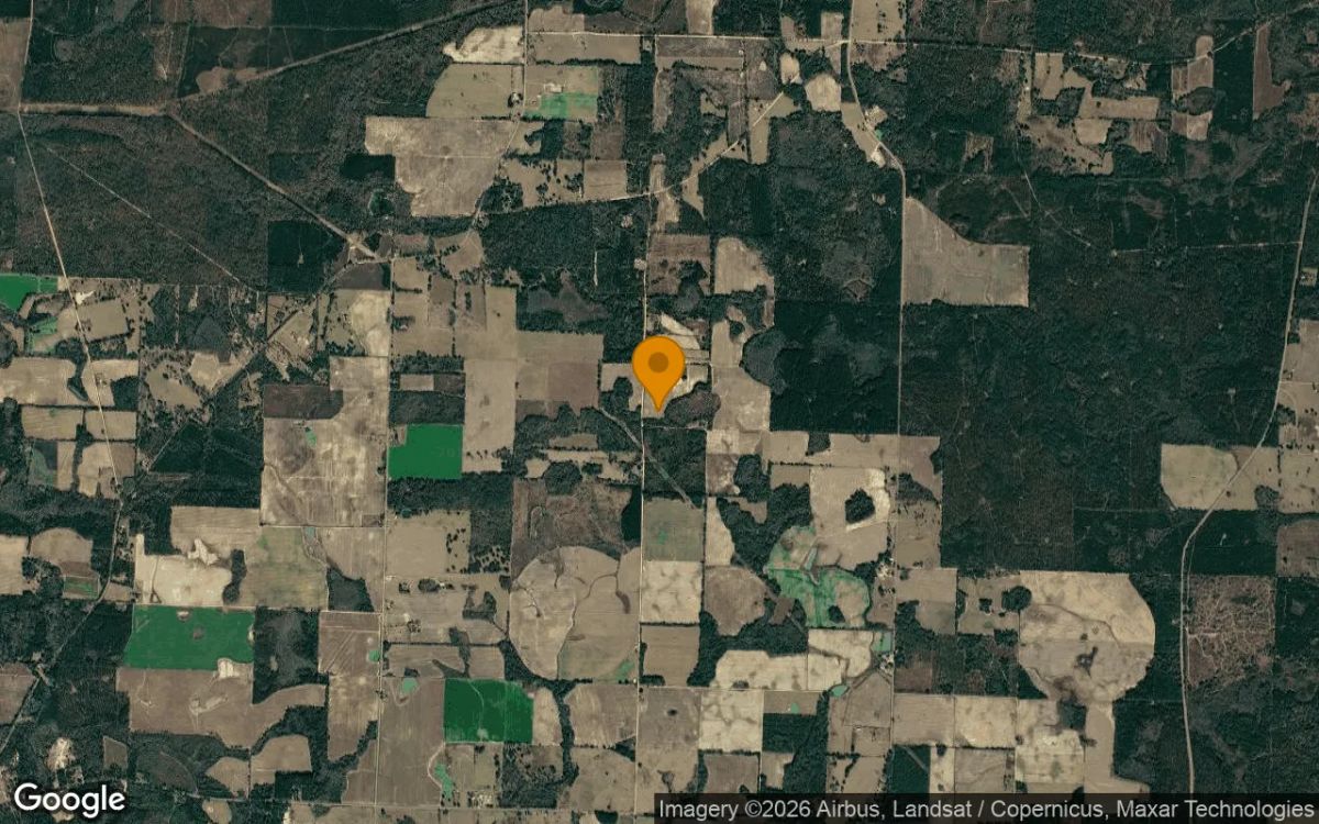 14.95 Acres in Blakely - Early County, GA - Image 3