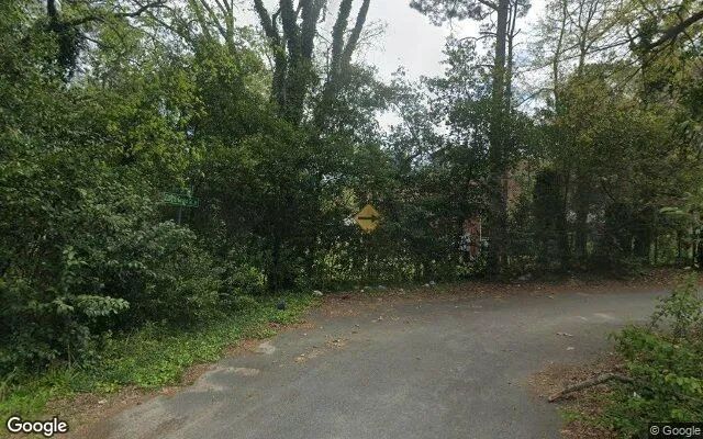 Decorative background for 0.55 Acres in Macon - Bibb County, GA image 6