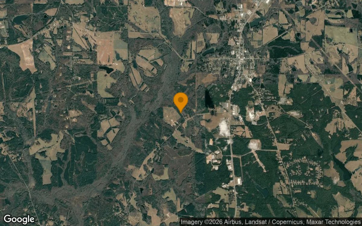 7.43 Acres in Zebulon - Pike County, GA - Image 3