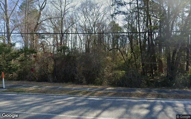 0.33 Acres in Bellville - Evans County, GA - Image 4