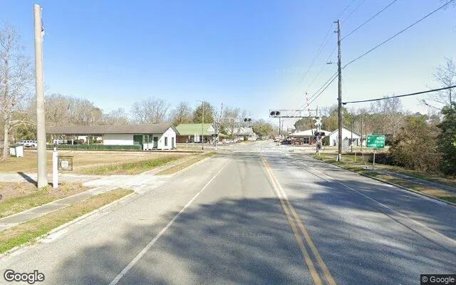 Decorative background for 0.33 Acres in Bellville - Evans County, GA image 5