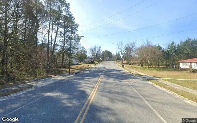 Decorative background for 0.33 Acres in Bellville - Evans County, GA image 6
