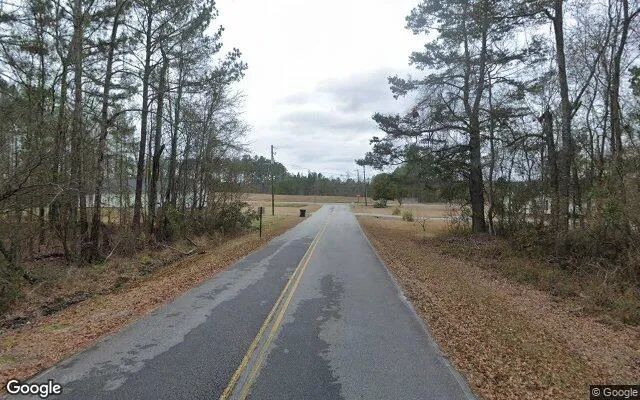 Decorative background for 0.55 Acres in Mount Vernon - Montgomery County, GA image 5