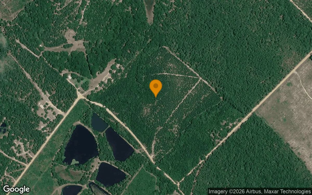 35.03 Acres in Helena - Telfair County, GA - Main image