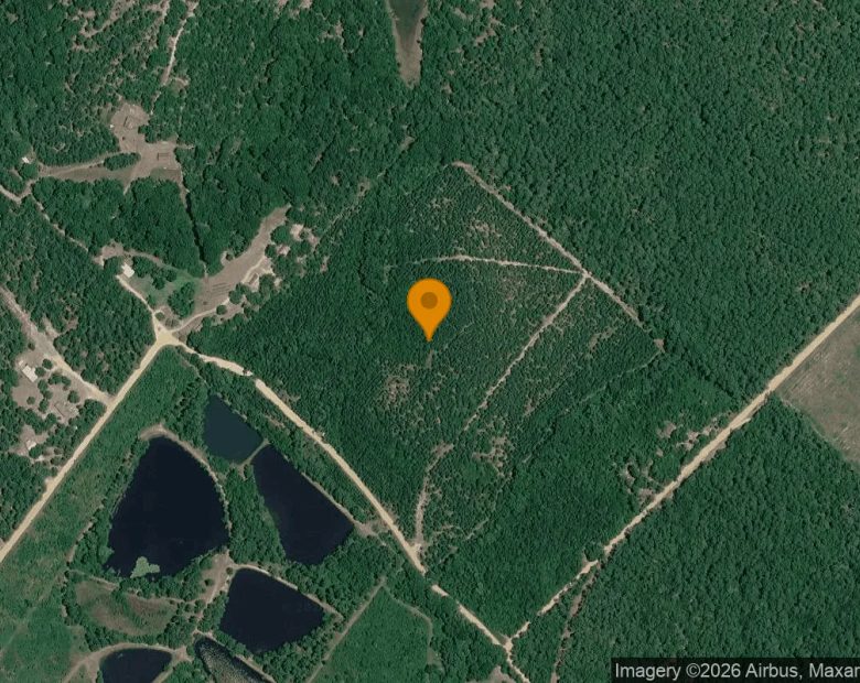 35.03 Acres in Helena - Telfair County, GA in Telfair County, GA