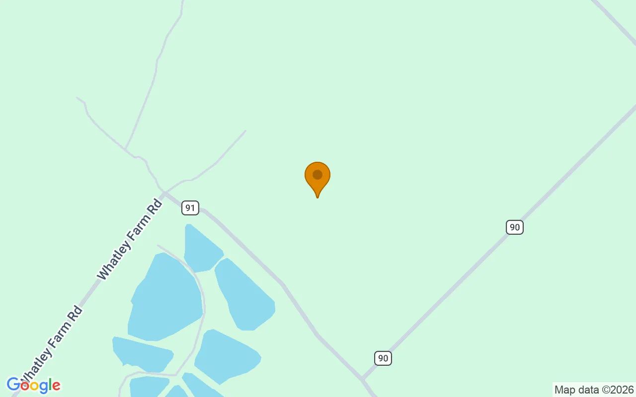 35.03 Acres in Helena - Telfair County, GA in Telfair County, GA