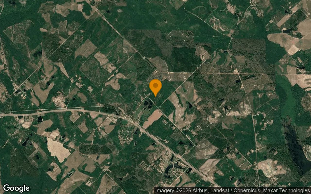 35.03 Acres in Helena - Telfair County, GA in Telfair County, GA