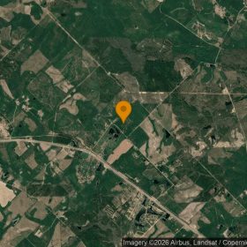 35.03 Acres in Helena - Telfair County, GA in Telfair County, GA