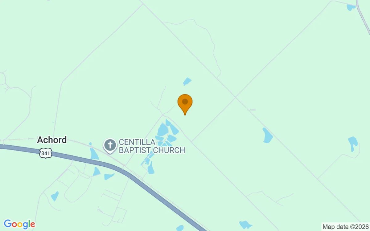 35.03 Acres in Helena - Telfair County, GA - Image 4