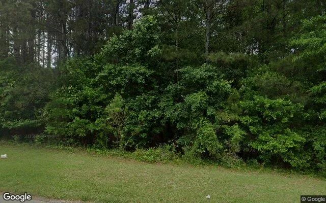 0.45 Acres in Tyrone - Fayette County, GA - Image 4