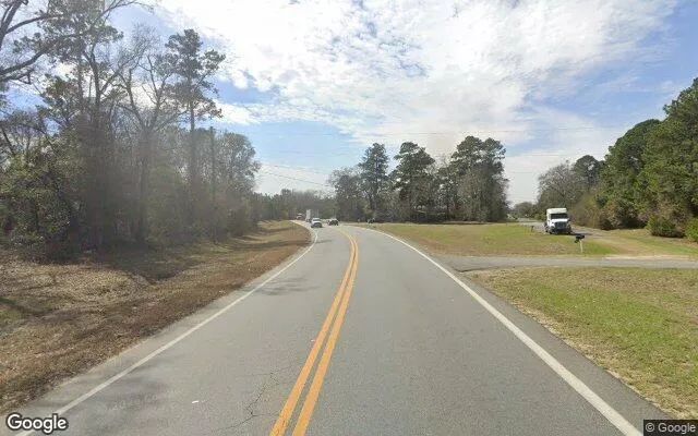 Decorative background for 1.5 Acres in Oglethorpe - Macon County, GA image 6