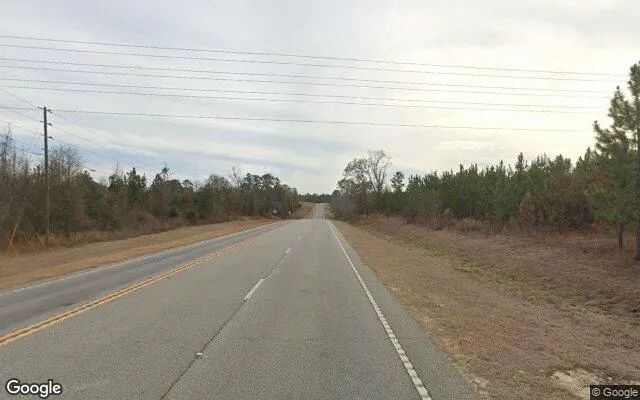 Decorative background for 75.01 Acres in Soperton - Treutlen County, GA image 6