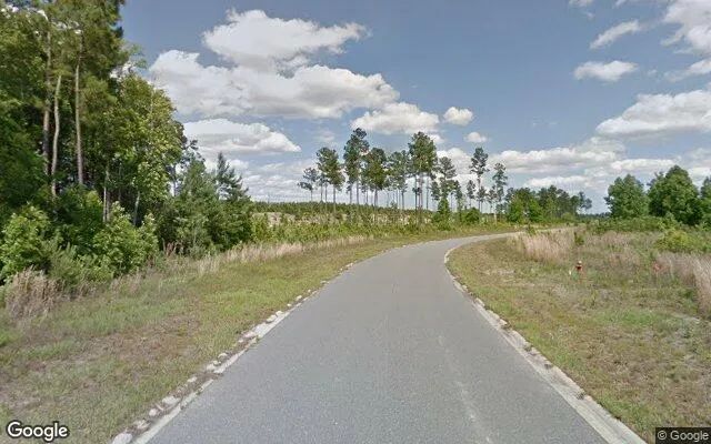 Decorative background for 0.55 Acres in Brunswick - Glynn County, GA image 5