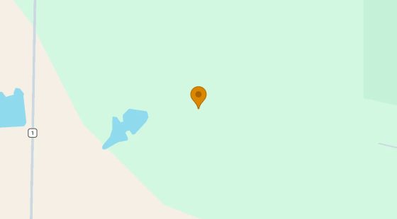 232.72 Acres in Dawson - Terrell County, GA in Terrell County, GA