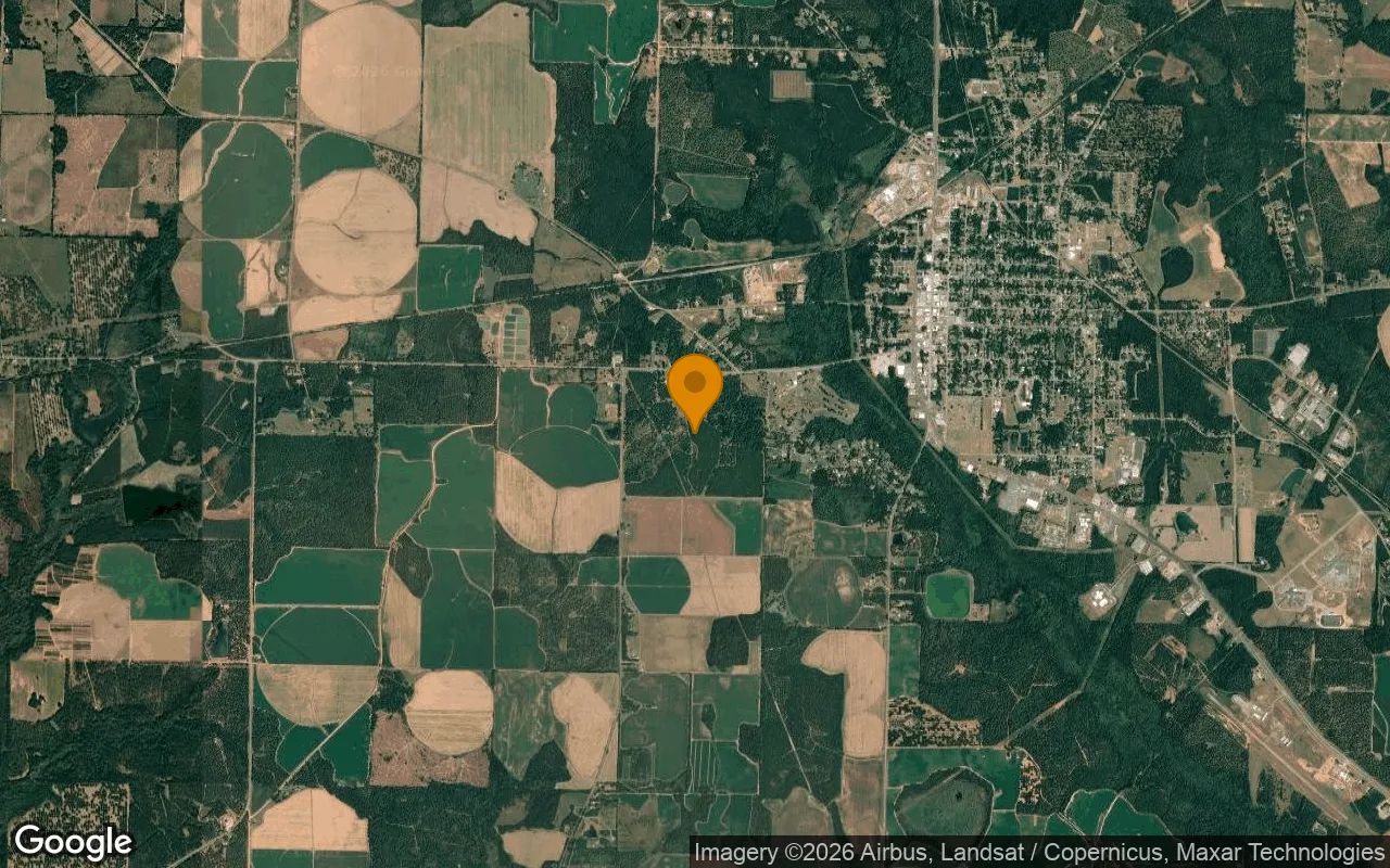 232.72 Acres in Dawson - Terrell County, GA in Terrell County, GA