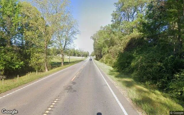 Decorative background for 232.72 Acres in Dawson - Terrell County, GA image 6